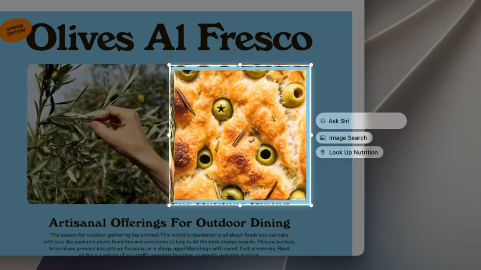 Visual Intelligence on the Mac: a photo in a newsletter is selected, with the options Ask Siri, Image Search and Look Up Nutrition